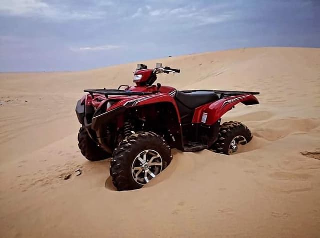 Sand Dunes Exploration
